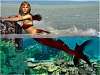 Mermaid Fantasy